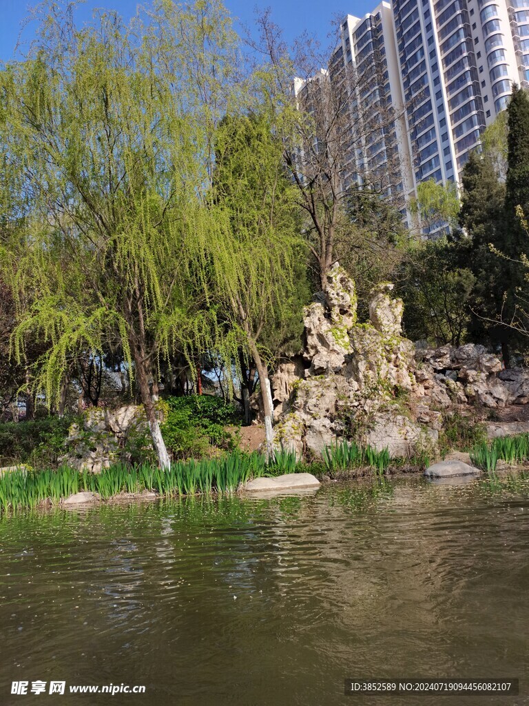 城市公园