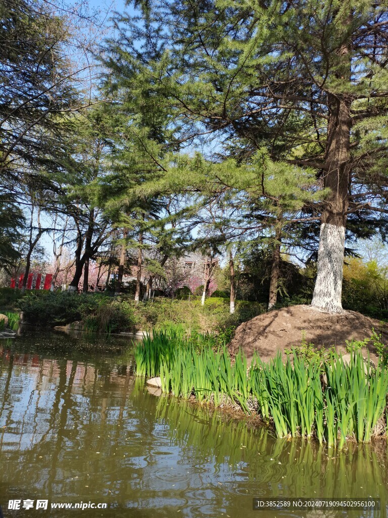 水岸风景