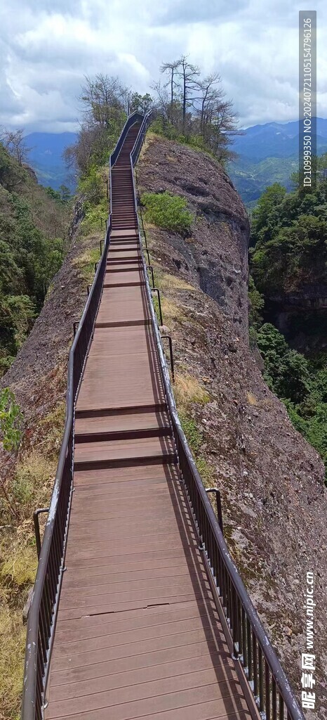 高山长梯