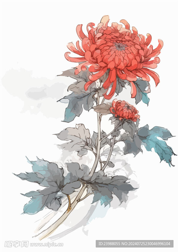 中式水墨画菊花