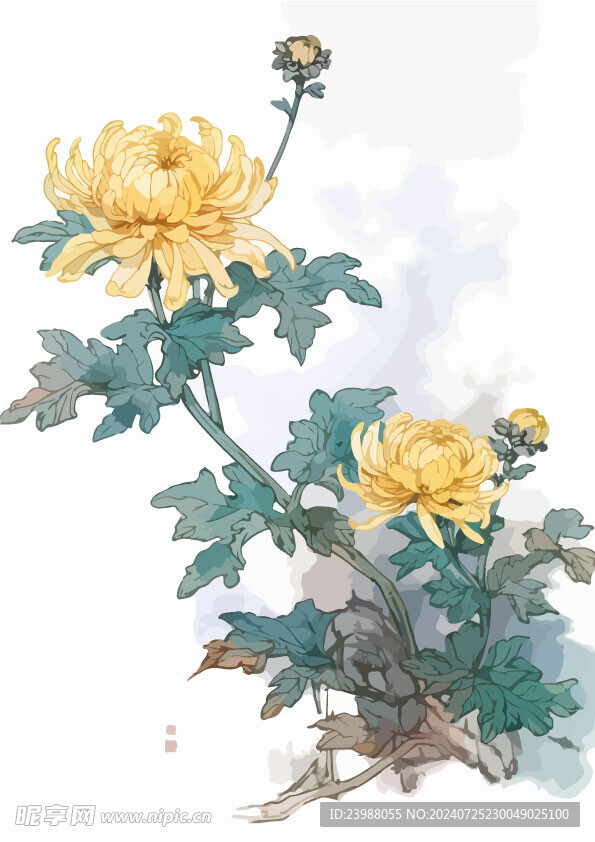 中式水墨画菊花