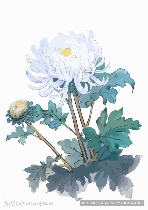 中式水墨画菊花