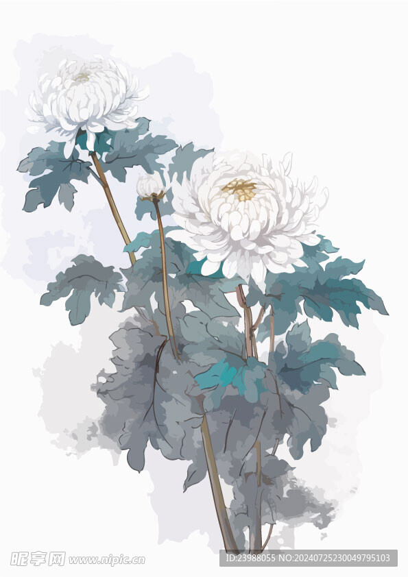 中式水墨画菊花