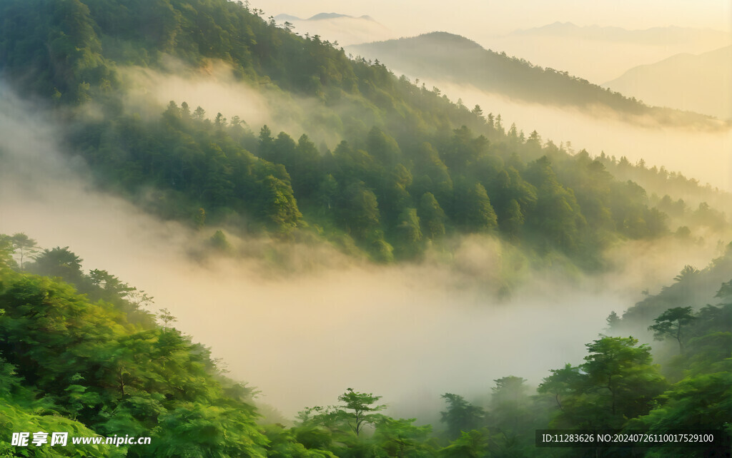 林海山川
