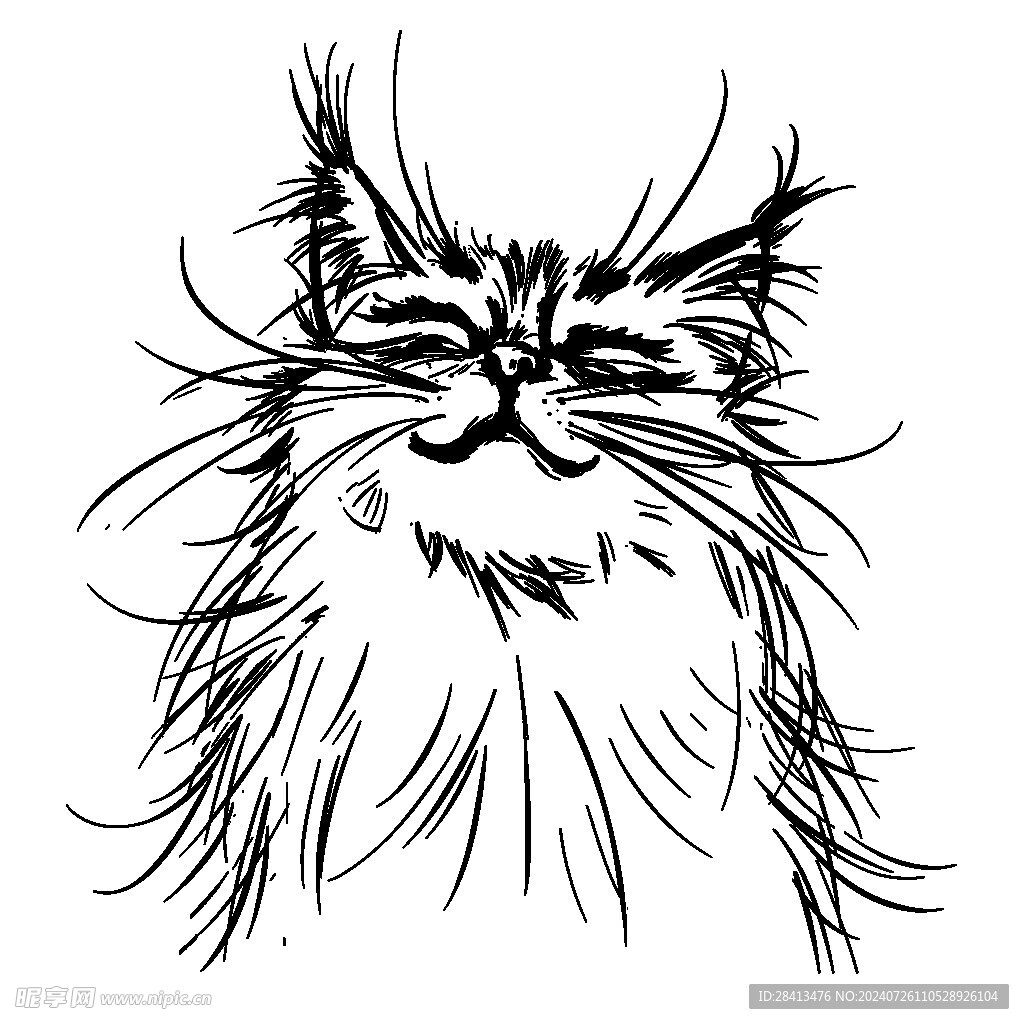 卡通黑白简笔猫