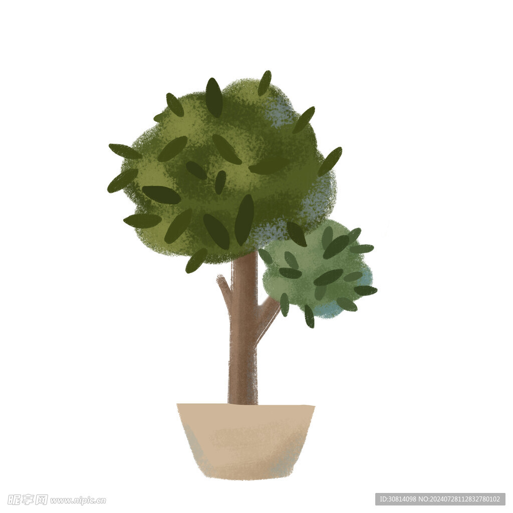 植物盆栽