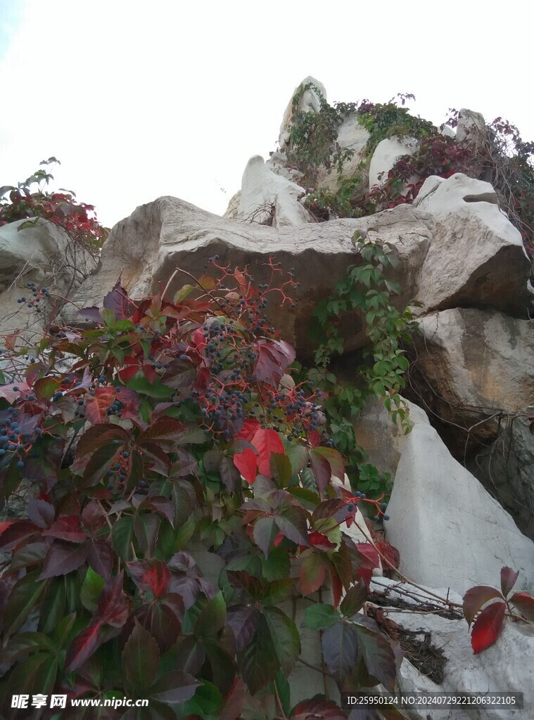 园林景观