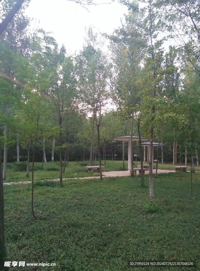 公园小亭