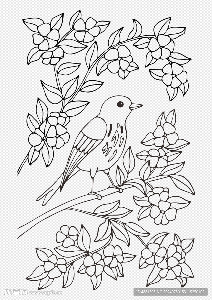 手绘花鸟
