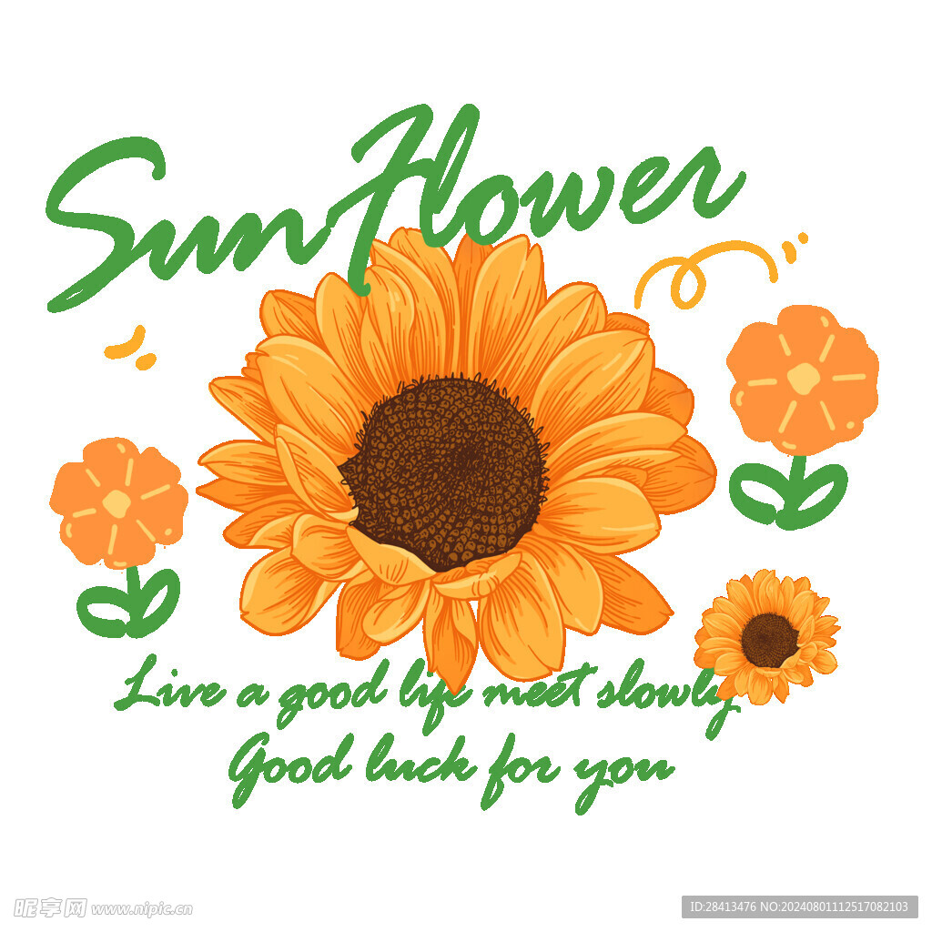 卡通阳光向葵