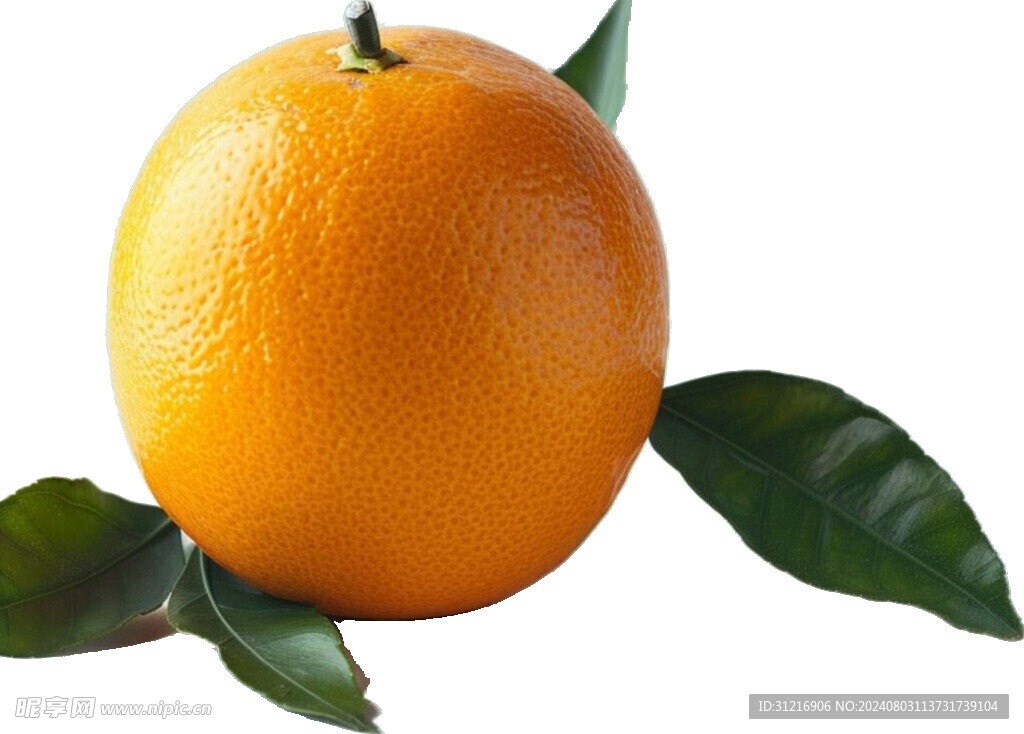 高清橙子免抠图素材图片