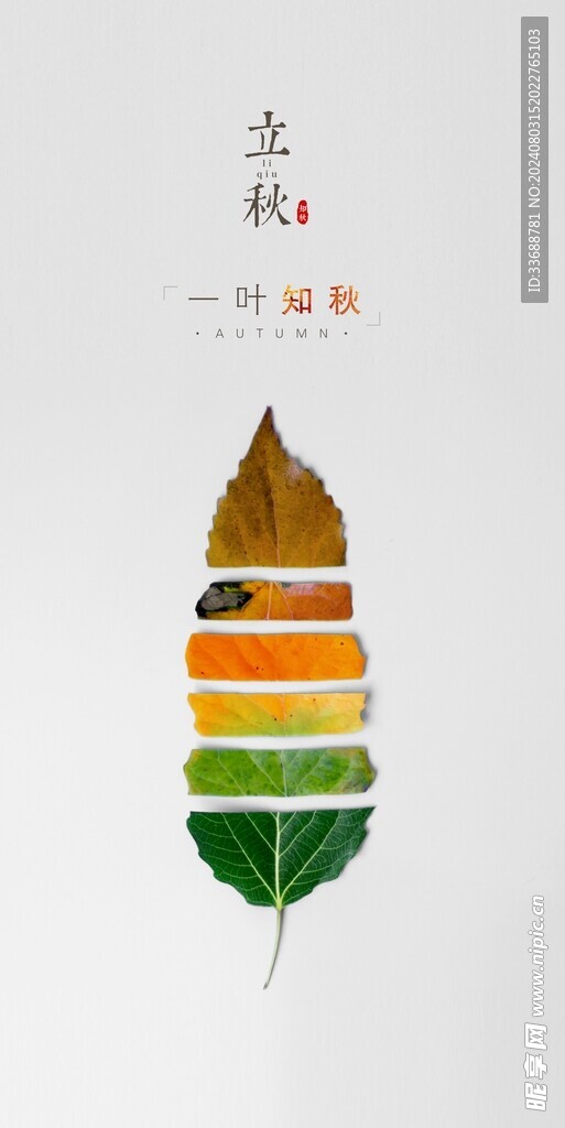 立秋地产海报展架画面图片