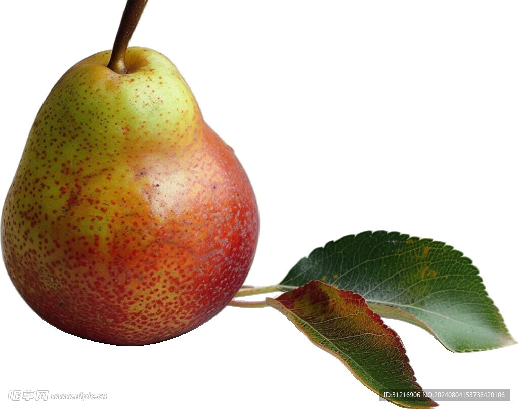 高清梨子免抠图素材图片
