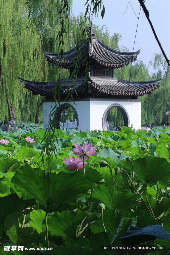 公园风景 