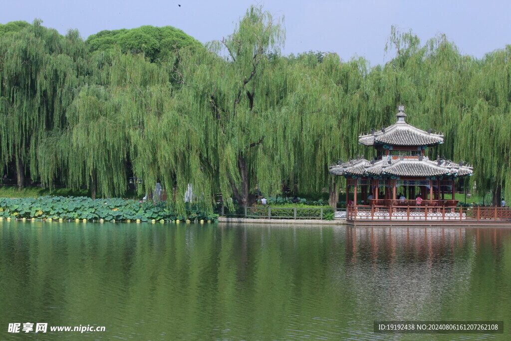 公园风景 