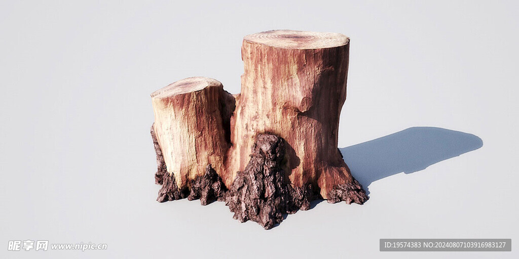 C4D模型 树根