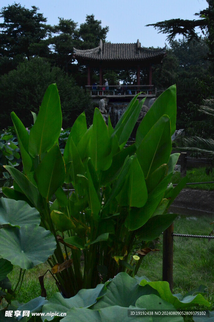  公园风景 