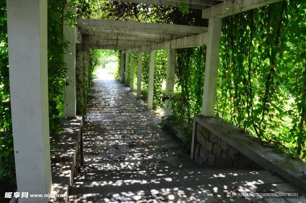  公园风景 