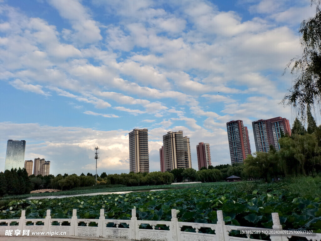 公园风景 