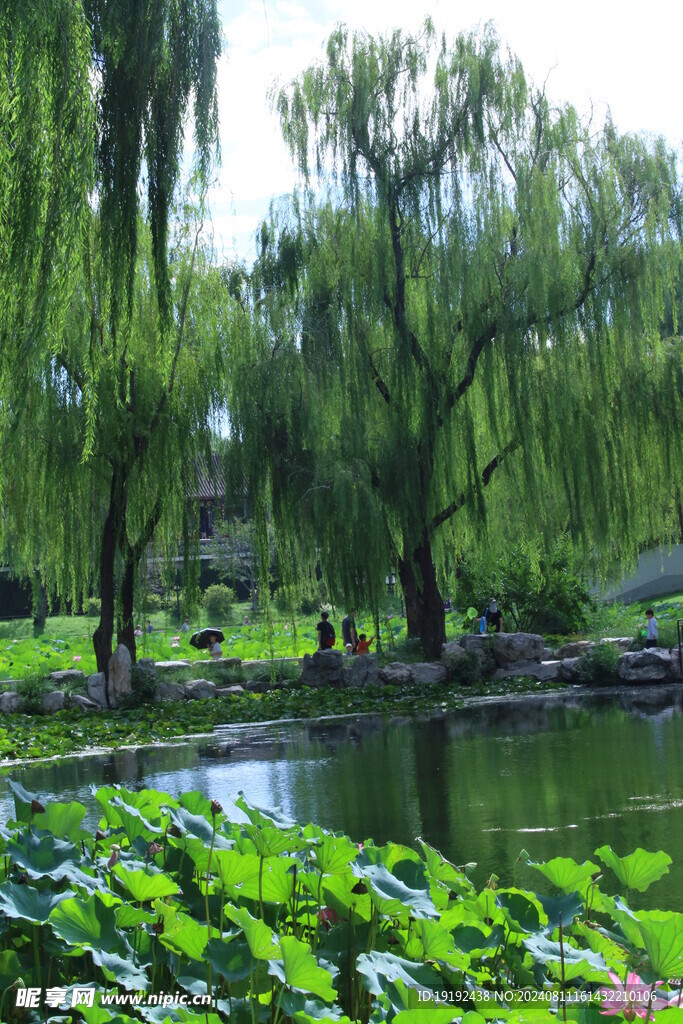 公园风景 