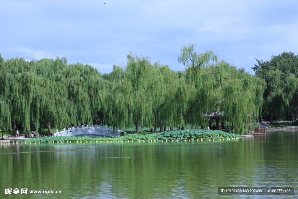 公园风景 