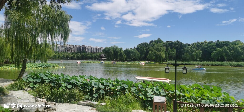 公园风景 