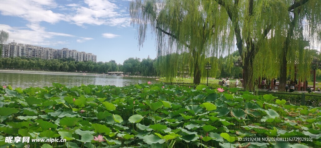 公园风景 