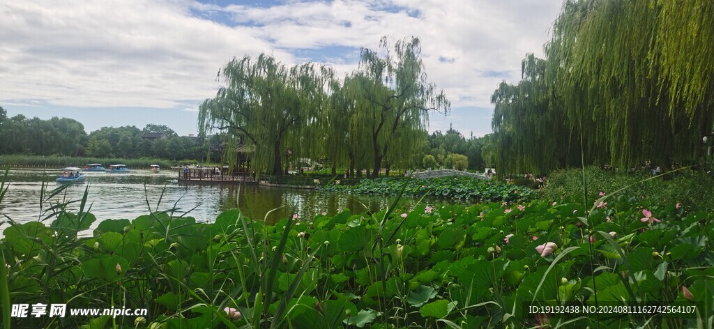 公园风景  