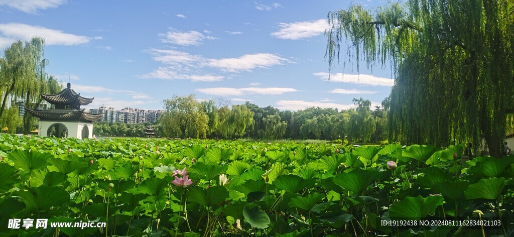 公园风景 