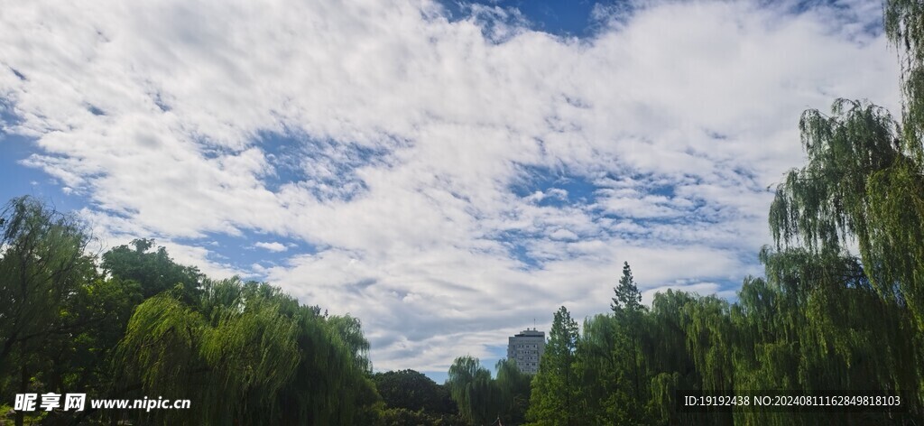 公园风景 