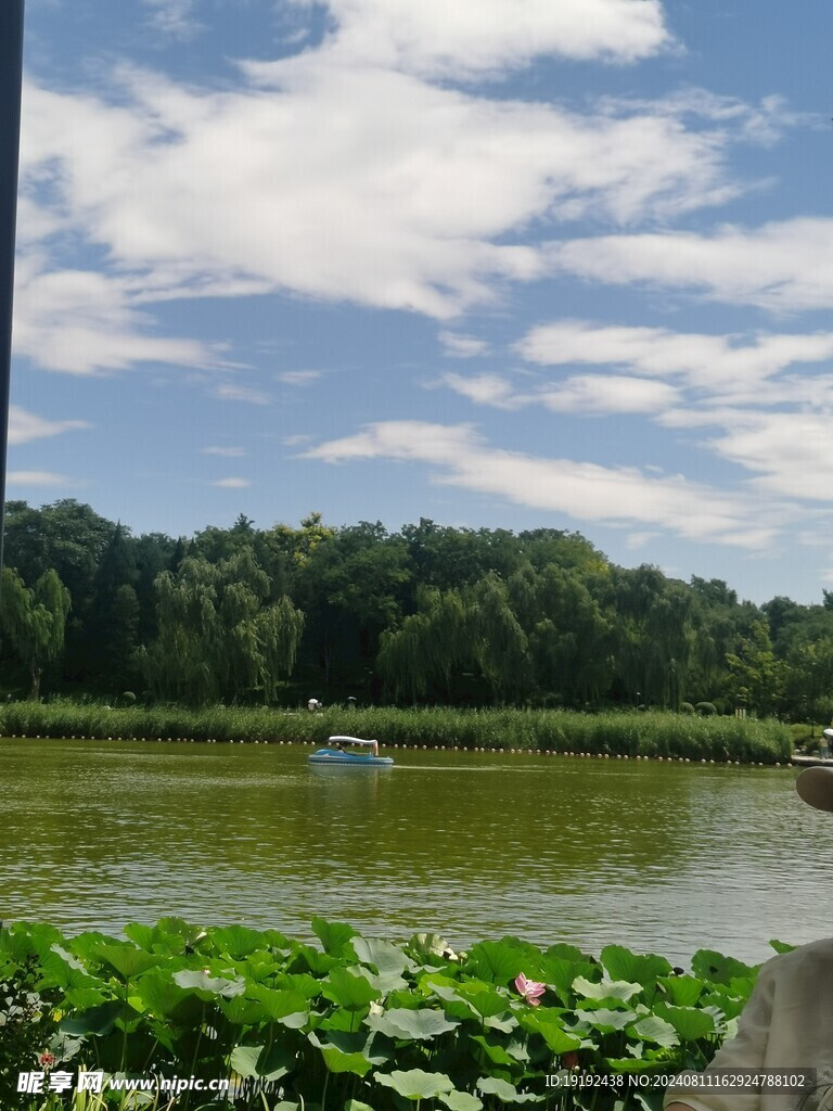 公园风景 