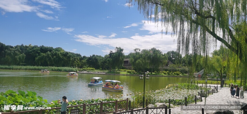 公园风景  