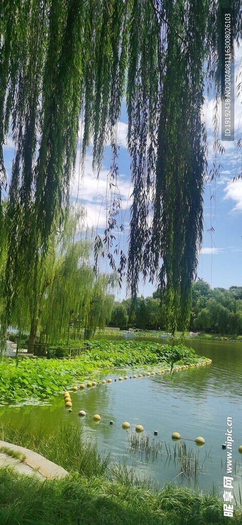公园风景 