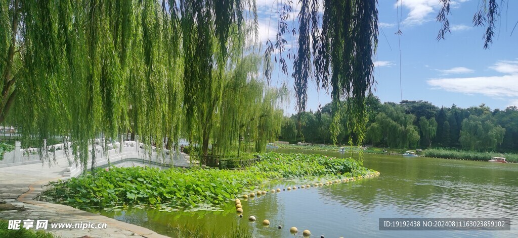 公园风景  