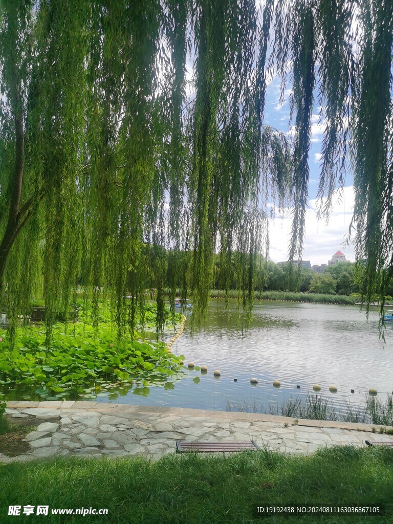 公园风景