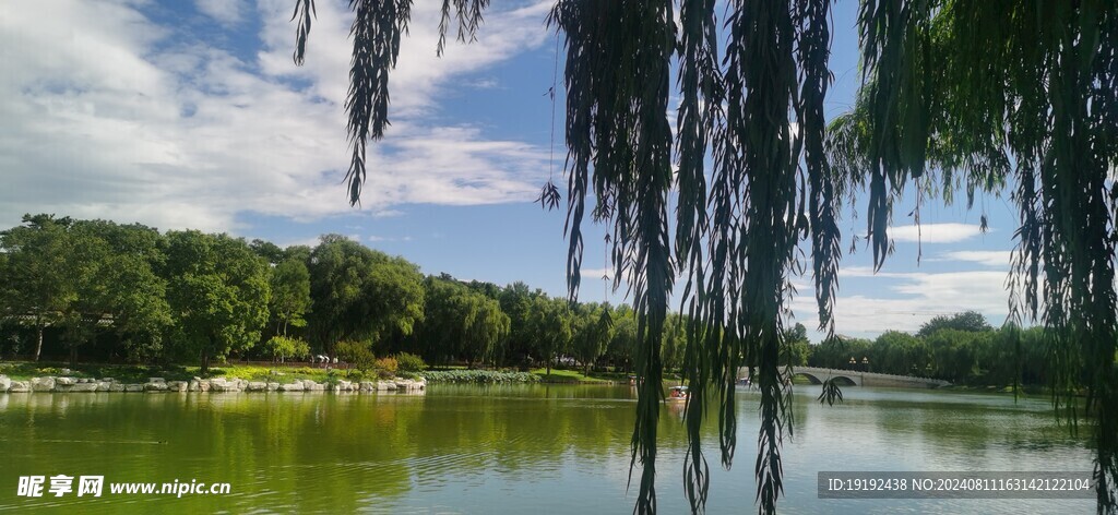 公园风景 