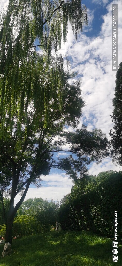 公园风景