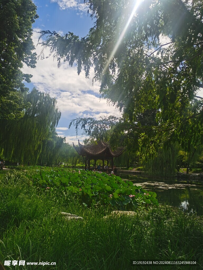 公园风景  