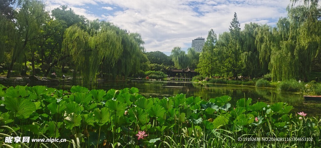 公园风景 