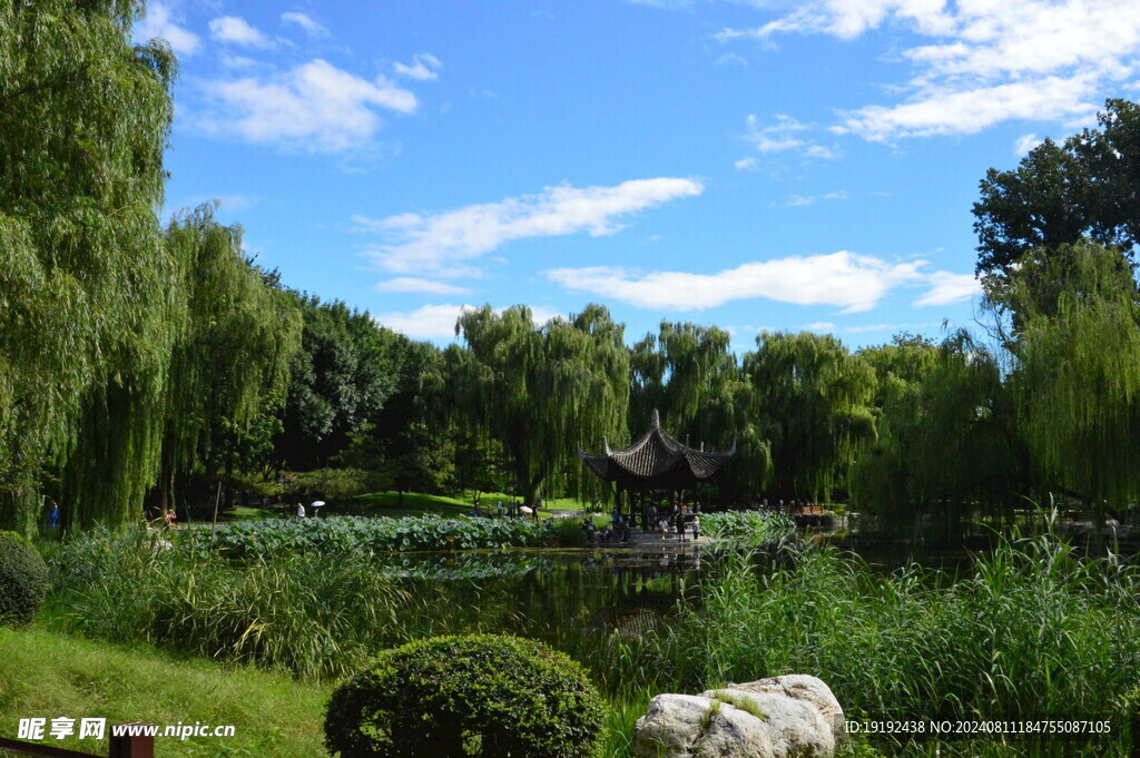 公园风景 