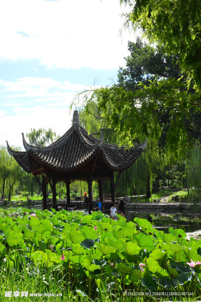 公园风景  