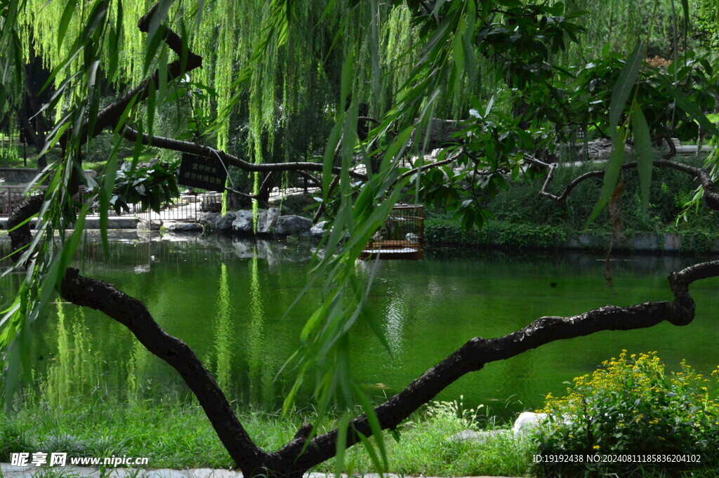 公园风景
