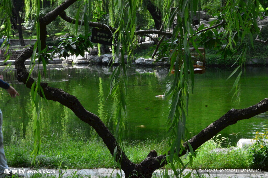 公园风景 