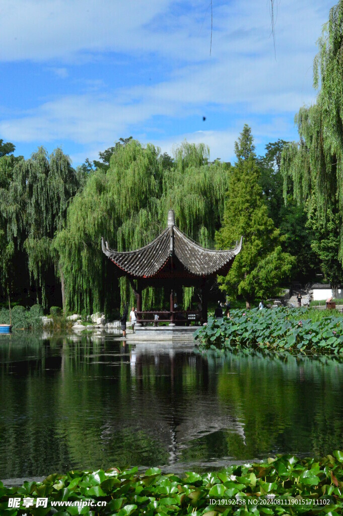 公园风景  