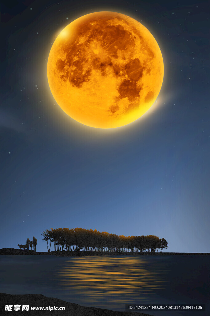 中秋节日海报展板