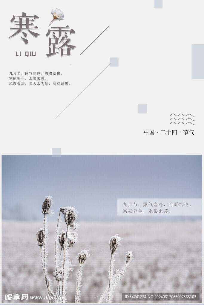 寒露二十四节气海报素材背景