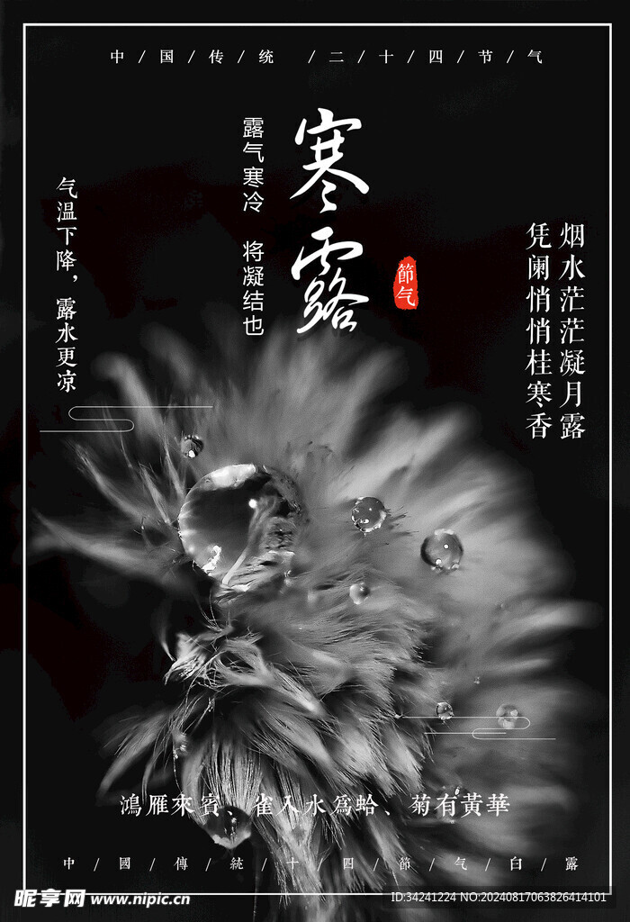 寒露二十四节气海报素材背景