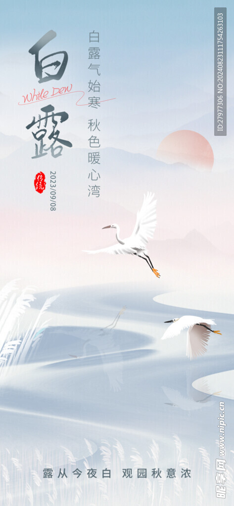 白鹤飞翔白露手机海报