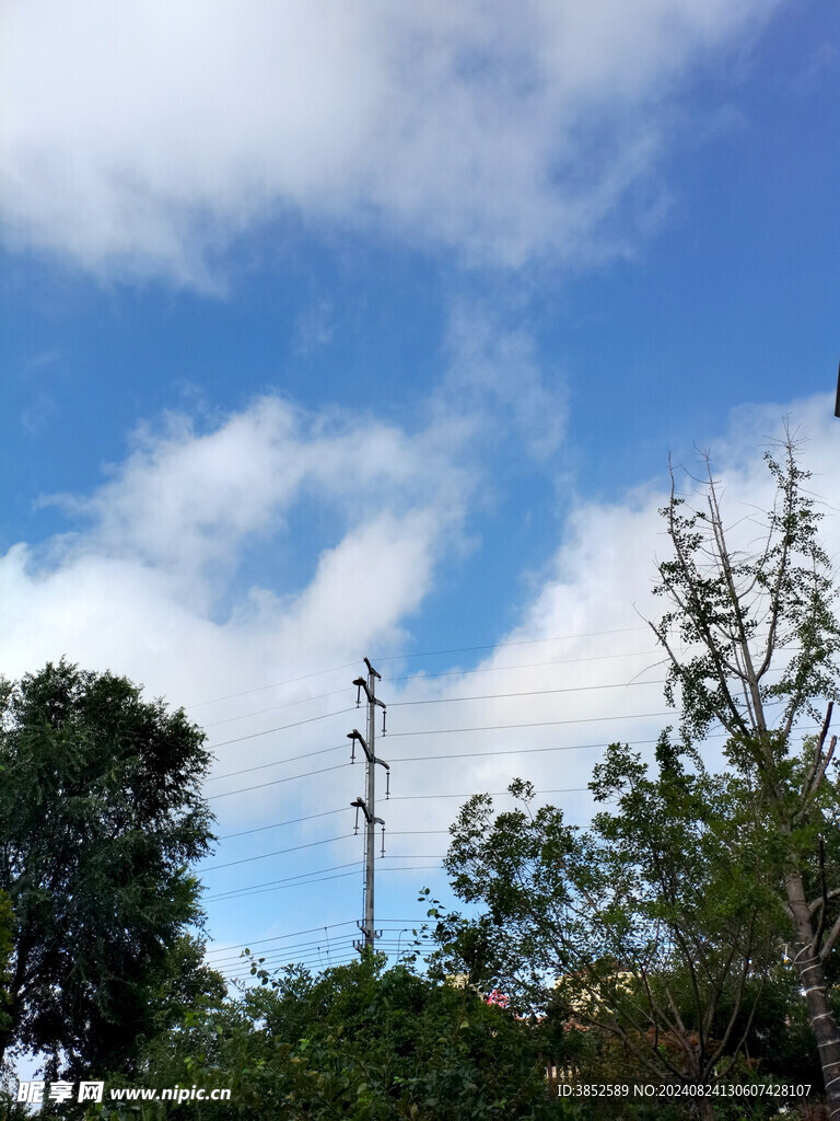 电线杆剪影