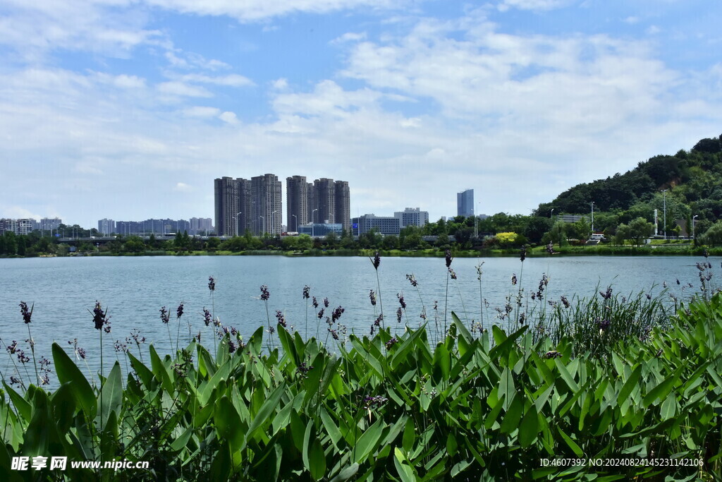 城市风景